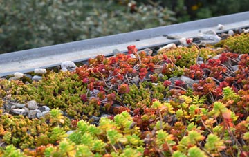the cost of South Gorley green roof installation