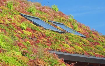 South Gorley living roof systems